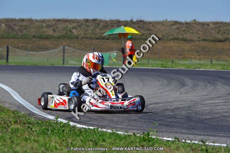 DSC_ (1561).jpg